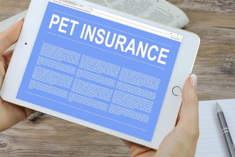 best pet insurance, pet insurance, types of pet insurance, pet insurance coverage, pet insurance providers, pet insurance benefits, choosing pet insurance, pet insurance cost, pet insurance policy